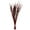 Red, variant on Vickerman 28" Aspen Gold Splinter Grass, 11 oz Bundle, Dried