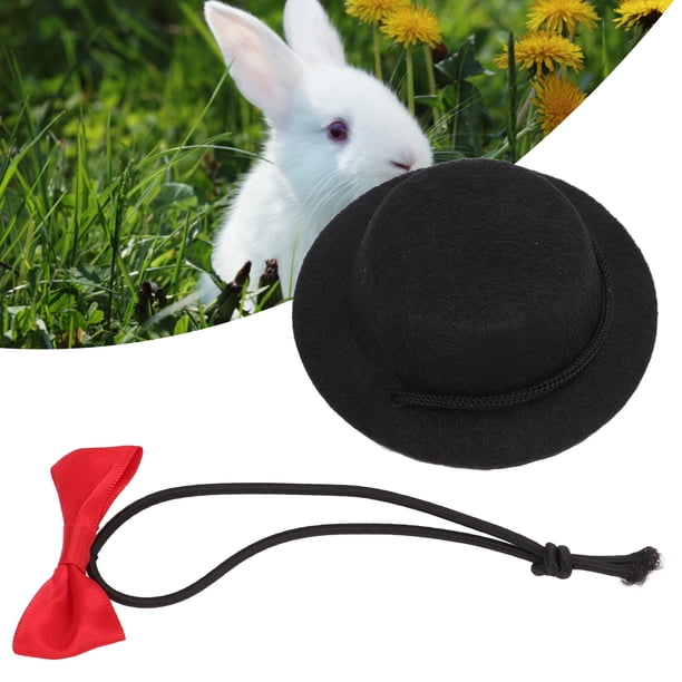Ropa Para Mascotas, Conjunto De Sombrero Y Pajarita Para Hámster, Ajustable, Atractivo, Rígido, Multiusos Para Conejos Y Hámsters