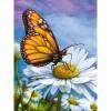 thumbnail image 2 of Cuadros Decorativos 5D DIY taladro redondo completo diamante pintura mariposa flor hogar arte artesanía (sz1908) Tmvgtek embutido en tela, 2 of 8