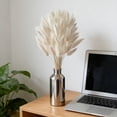 thumbnail image 6 of Ywbawe 60 Pcs Artificial Pampas Grass Sprigs for Wedding Centerpiece Boho Home Table Decor Floral Arrangements Dried Flower Bundle, 6 of 6