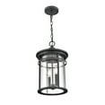 thumbnail image 3 of Millennium Lighting  Namath 2 Light Outdoor Hanging Lantern, 3 of 5