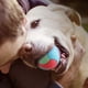 thumbnail image 5 of Pet Toys Dogs Won't Gnaw Dogs Won't Gnaw Molars Won't Gnaw Self Pleasure Relief Toys Balls Funny Cats Pet Balls Supplies, 5 of 6