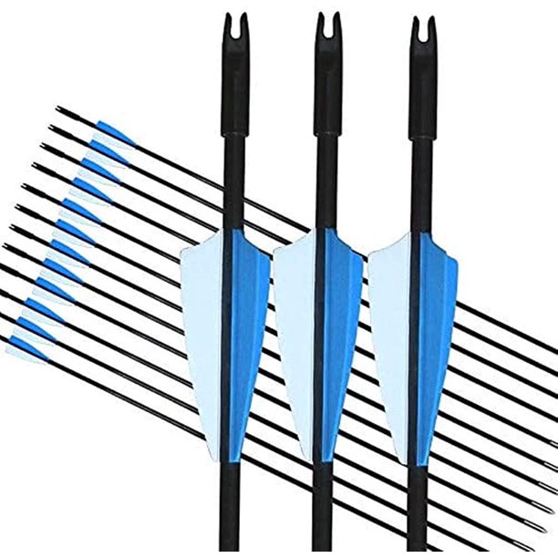 GPP Archery Beginner's First Arrows (30" Fiberglass Target Archery