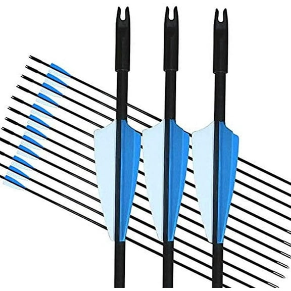 GPP New Fiberglass Archery Arrows, 12 Pieces (Beginner)