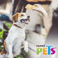 thumbnail image 2 of Carnaza de Res Fancy Pets 100% de Res 1 pz, 2 of 2