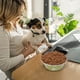 thumbnail image 4 of Stainless Steel Dog Bowl Bowl And DropFeeding Device, 4 of 4