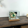 thumbnail image 3 of Perfect Cases and Frames Mini Football Helmet Display Case, 3 of 5