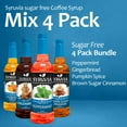 thumbnail image 3 of Syruvia Sugar-Free Holiday Variety Pack Peppermint, Gingerbread, Pumpkin Spice & Brown Sugar Cinnamon Coffee Syrup (4-Pack), 3 of 8