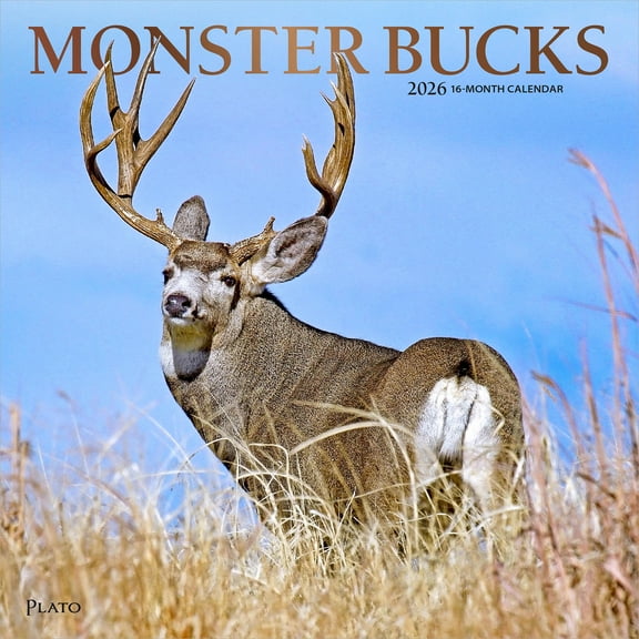 Monster Bucks | 2026 12x24" (Hanging) Monthly Square Wall Calendar | Plato
