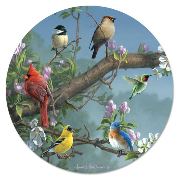 CounterArt Beautiful Songbirds Lazy Susan Turntable 13" Round