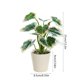 thumbnail image 3 of Artificial Potted Plants Realistic Simulation Green Plants Indoor Home Desk Bookshelf Decor Faux Greenery Decorative Houseplants for Living Room Office, 3 of 6