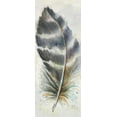 thumbnail image 2 of Pinto, Patricia 8x14 Gold Ornate Wood Framed with Double Matting Museum Art Print Titled - Watercolor Feather VI, 2 of 4