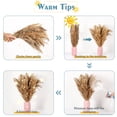 thumbnail image 4 of 30 Pcs Natural Dried Pampas Grass Decor Brown Bouquet Dried Flowers, 4 of 8