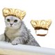 thumbnail image 4 of Gorros grandes para perros Ducha para perros Toma fija Perros Ducha Baño S Gorro para mascotas Ducha para mascotas Gorro para mascotas con gorro ajustable para orejas - Dorado, 4 of 5
