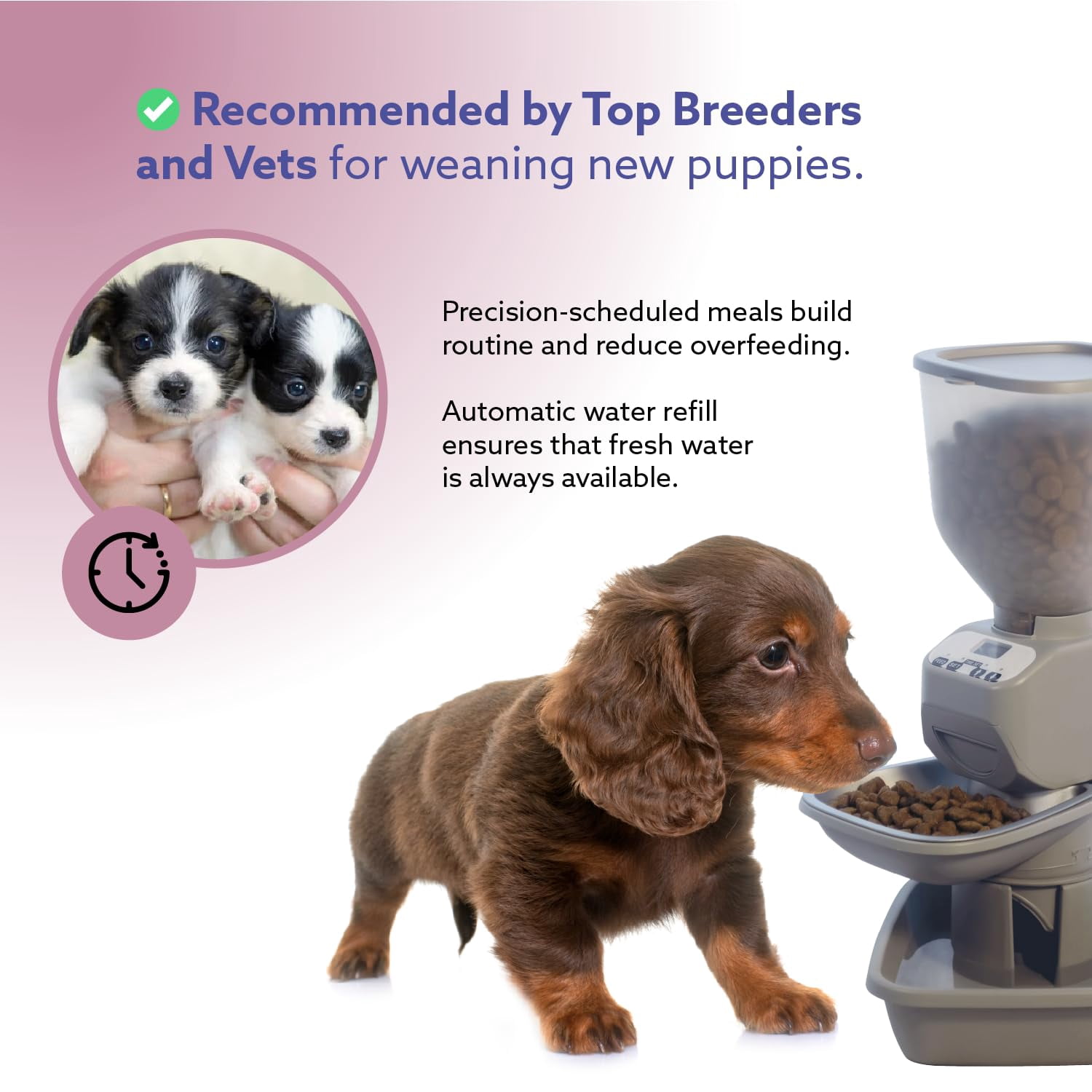 Feeding Friend® Automatic Dog & Cat Food Feeder with Water Dispenser –Smart Pet Feeder with Portion Control,OLED Display, Anti Jam Design, Battery Operated Dispenser for Small - (XS)  Pets 4-15 Taupe