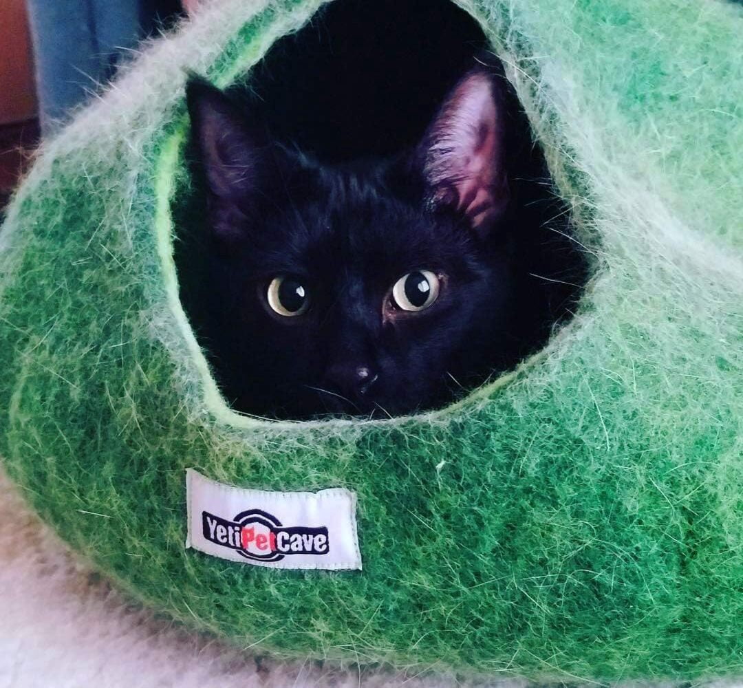 Yeti Pet Cave Bed for Cats, Small Dogs, and Other Small Pets or Critters, 100% New Zealand Wool, Green, 1 Count
