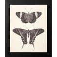 thumbnail image 2 of Wild Apple Portfolio 20x24 Black Modern Framed Museum Art Print Titled - Papillons I Neutral, 2 of 5