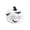 White, variant on QLUEWX Black Pumpkin Halloween Decorations, 4.3" Artificial Resin Pumpkin Table Decor, Hocus Pocus Pumpkin Home Decor, Fall Tabletop Centerpiece for Home Shelf Mantel Party Supplies Halloween Decor