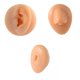 thumbnail image 1 of Modelo de Parte Del Cuerpo shamjiam 3 Uds Modelado Práctico de Silicona Piel, 1 of 9