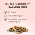 thumbnail image 2 of Tail & Tonic Salmon Skin Air-Dried Chewy Fish Skins Dental Chews Twist for Dogs, 2 of 9