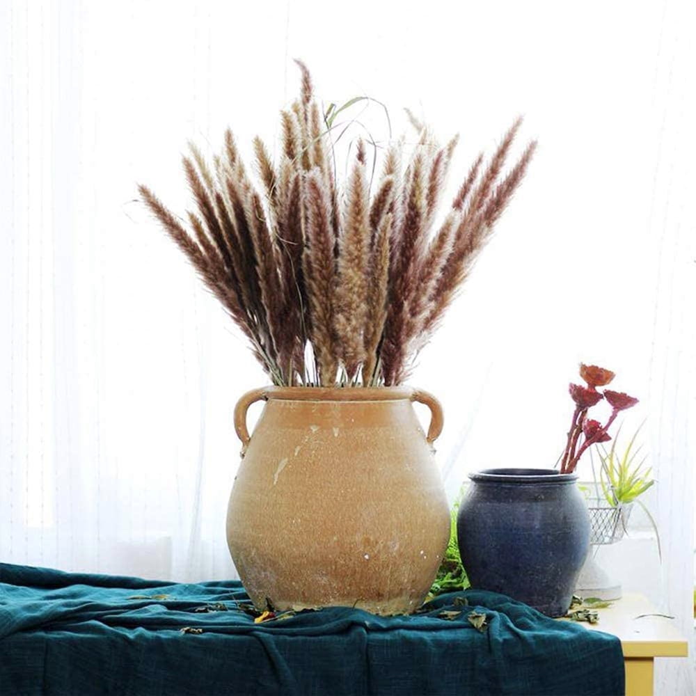 Everso Real Dried Small Pampas Grass Wedding Flower Bunch Everso Real Dried Small Pampas Grass Wedding Flower Bunch