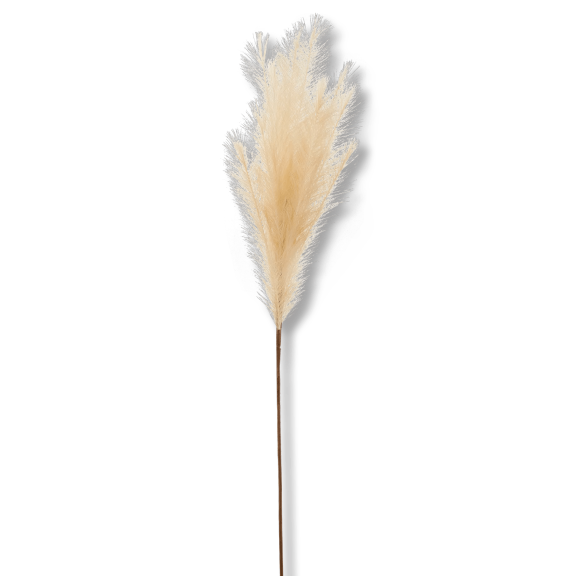 Bouclair Beige Pampas