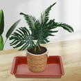 thumbnail image 4 of unbranded 8Ud Bandejas Para Plantas En Color Oscuro Resistentes Y Duraderas Para Uso En Interior, 4 of 8