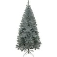 thumbnail image 2 of 6 ft. Silver Point Pine Tree, 2 of 2
