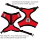 thumbnail image 5 of Cat Dog Harness with Lead Leash - Adjustable Vest, Breathable Mesh, Reflective Stripes ShopWise Round, 5 of 17