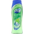 thumbnail image 1 of DIAL Body Wash 473ml Mountain Fresh 6/Pack, 1 of 1