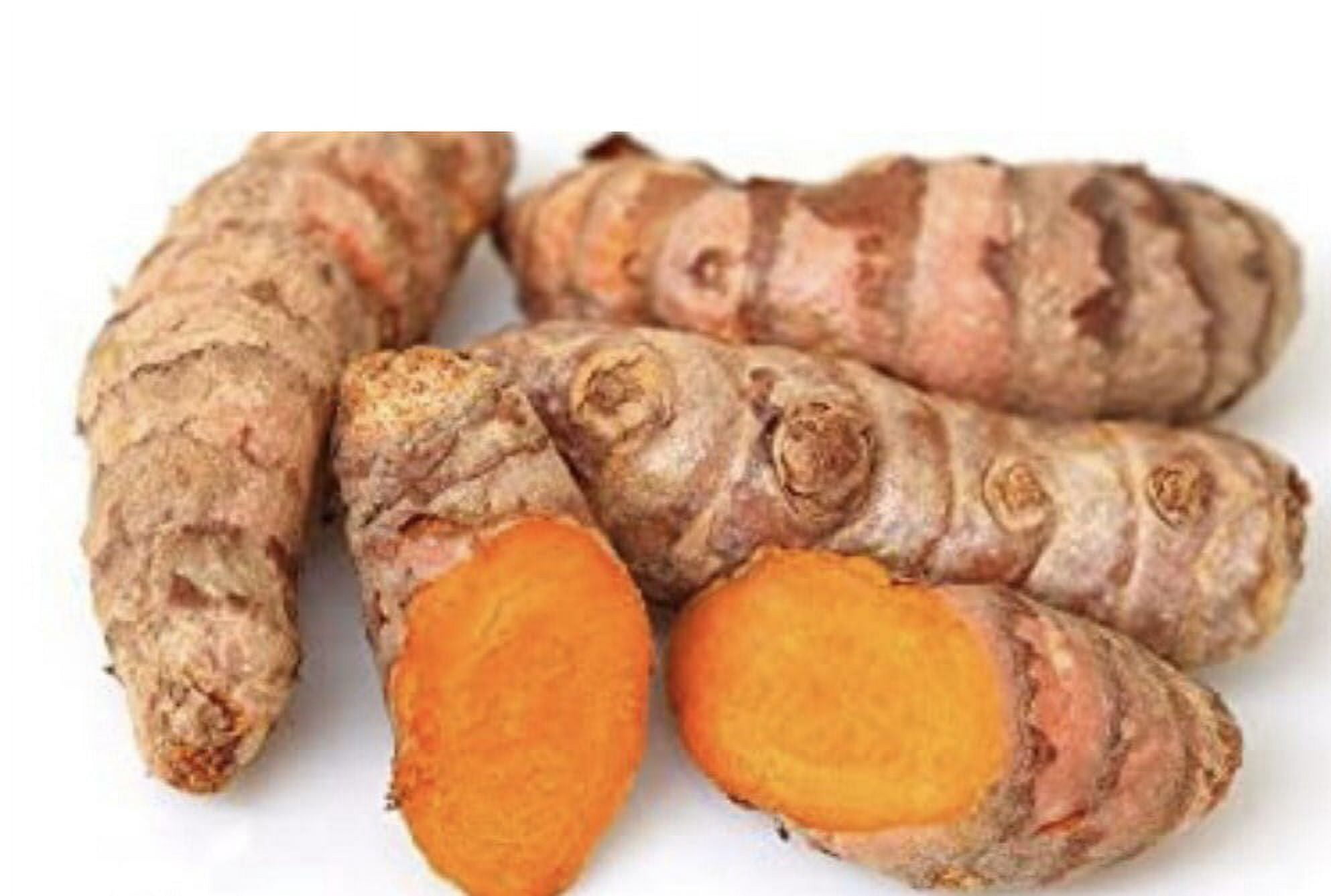 Turmeric and Ginger Tea 50 Pyramid Corn Fiber Teabags100% Sun Dry Cut and Sift Tea Leaves in Pyramid Teabags100 percent Natural Taste!