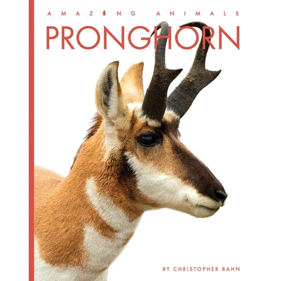 Pronghorn, (Paperback)