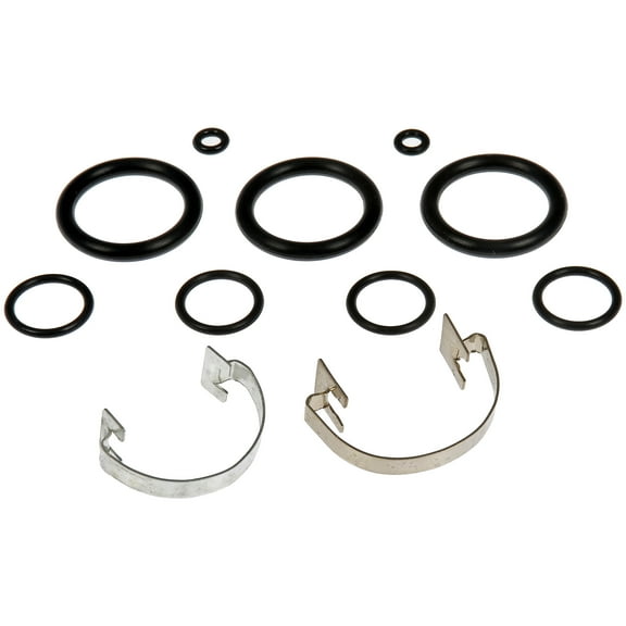 Dorman 949-795 Air Suspension O-Ring Kit for Specific Ford / Lincoln Models