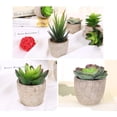 thumbnail image 3 of 1 pcs Artificial Succulent Plants Series Plastic Decorative Grass Collection, 3 of 4