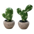 thumbnail image 1 of 2 uds pequeña planta de simulación cactus en maceta bonsái decoración creativa plantas verdes, 1 of 6