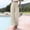 Beige, variant on Linen High Waisted Wide Leg Palazzo Pants For Women Casual Summer Drawstring Trousers Flowy Beach Pants With Pockets Top And Pants Set Women Two Piece Casual Womens Cropped Pants Casual Business