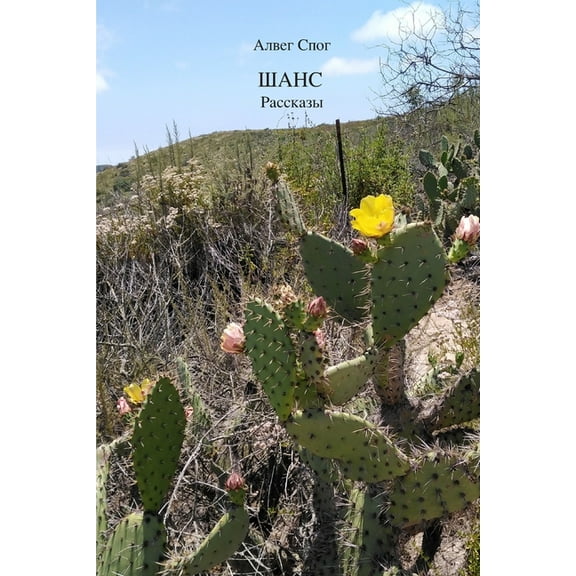 Шанс, (Paperback)