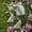 Green, variant on Sales Today Clearance! Ceramic Koi Fish Garden Decoration Set, Resin Garden Carps for Courtyard, Patio, Outdoor Garden Decoration, Unique Fish Sculptures for Landscaping Deals of The Day Clearance!