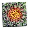 thumbnail image 2 of Gango Home Decor Saguaro Mandala II by Douglas Taylor (Ready to Hang); One 24x24in Hand-Stretched Canvas, 2 of 4