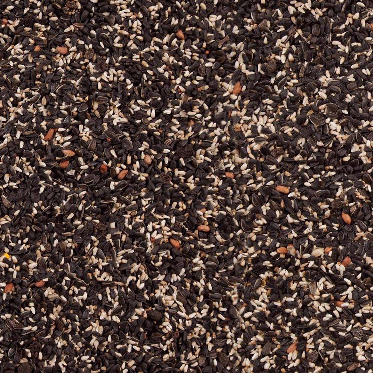 Wild Delight Cardinal Sunflower Seeds Wild Bird Food 15 lb