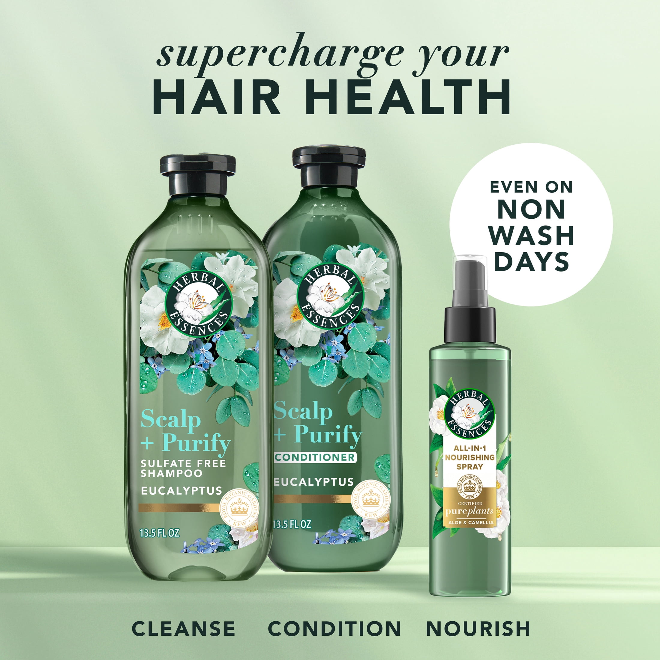 Herbal Essences Scalp + Purify Eucalyptus Sulfate Free Conditioner - 13.5 fl oz