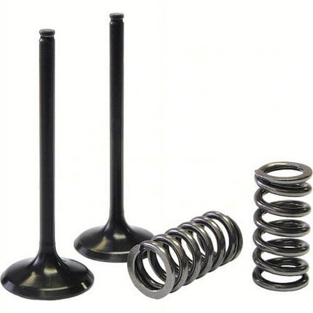 ProX  28.SES4409-1; Steel Exhaust Valve / Spring Kit