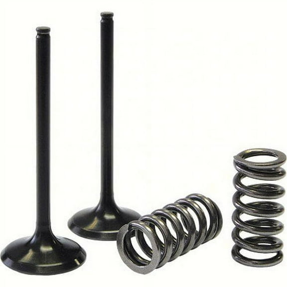 ProX  28.SES4409-1; Steel Exhaust Valve / Spring Kit