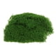 thumbnail image 2 of Planta de Artificial hierba jardín decoración para DIY Material de flores jardín Micro accesorios de paisaje - Miniatura DYNWAVEMX diorama de hierba en miniatura, 2 of 8