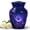 purple daisy blue, variant on MUKTIVE Daisy Cremation Urns for Human Ashes Adult Female - Burial Urn for Ashes for Women - Memorial Ash Holder Urn for Male Adults - 10 Inch Large Urns for Mom