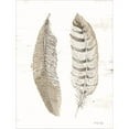 thumbnail image 2 of Great Art Now Feather II by Cindy Jacobs, Framed Wall Art, 15.25W x 18.25H, 2 of 2