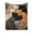 A, variant on B Flannel Fleece Throw Blanket Sleeping Cats Print Cute Multi Color For Home Bed Sofa Couch 59.0X39.3 In 100% Polyester
