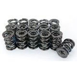 Manley 221449-16 MPP221449-16 NEXTEK VALVE SPRINGS DRAG - Walmart.com