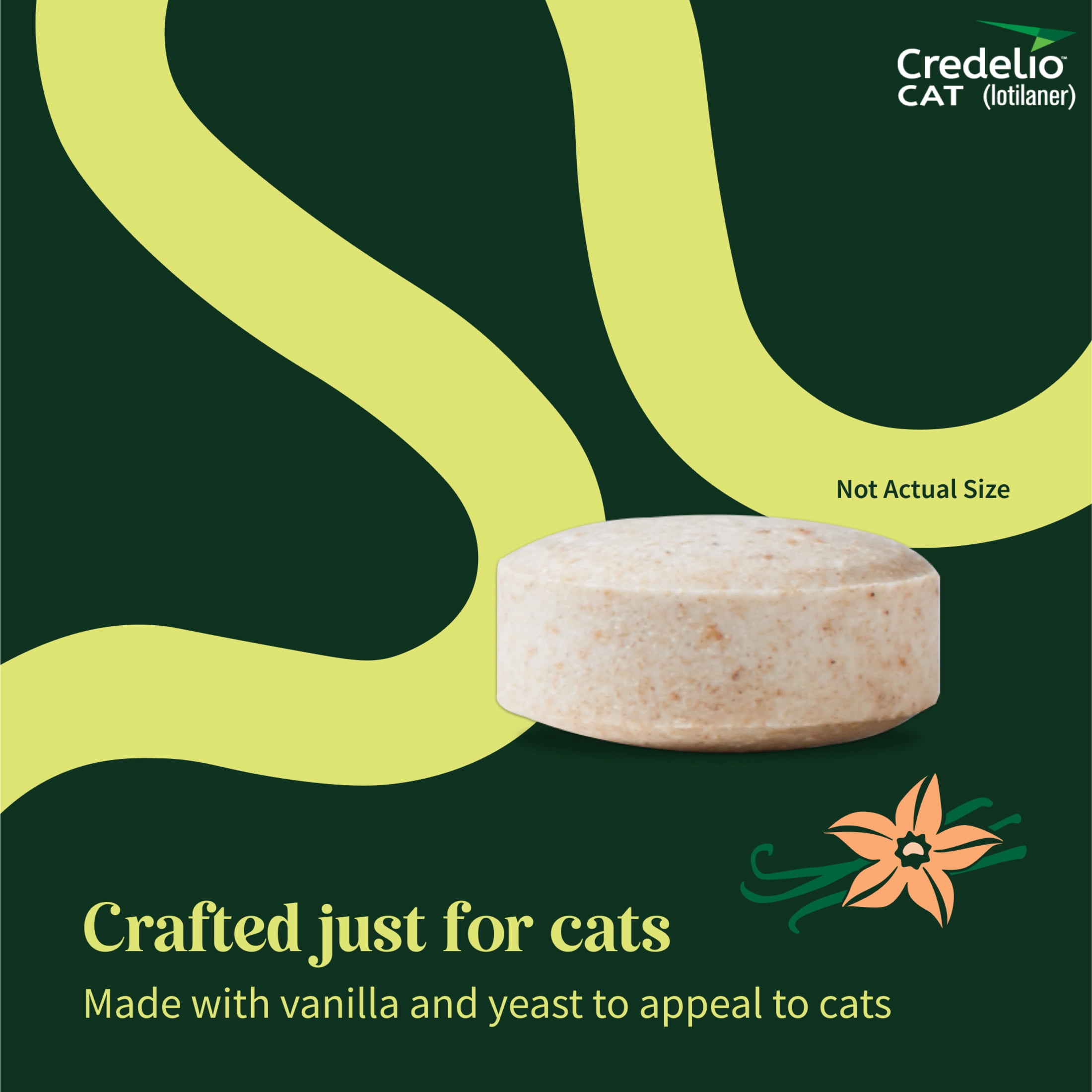 Credelio CAT Flea & Tick Infestation Prevention and Treatment for Cats 4.1-17 lbs. | 3-Month Supply