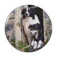 thumbnail image 1 of Border Collies Window Dogs Pinback Button Pin, 1 of 5